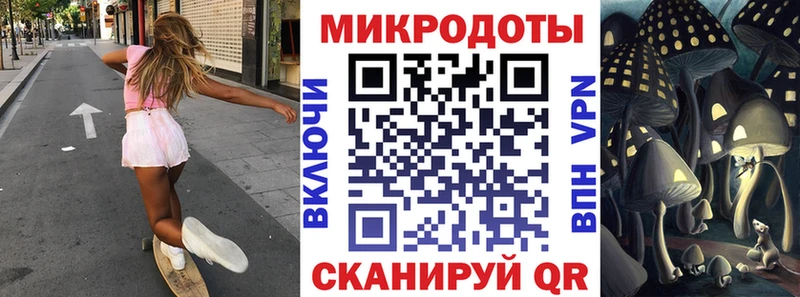дарк нет наркотические препараты Магадан Галлюциногенные грибы GOLDEN TEACHER